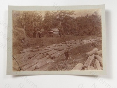 Elefant Holzfäller Lagerstämme Wald Burma um 1890 Vintage Foto