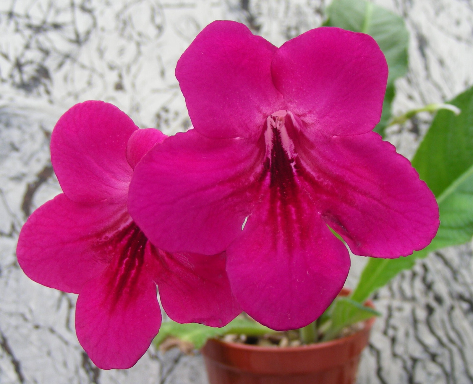 Picture 63 of 111