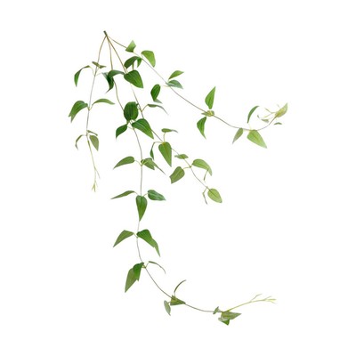  Leaf Harvest Wreath Simulierte Blumgrüne Pflanzen Dekoratives Wandrattan