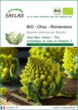 SAFLAX - Graines - BIO - Chou - Romanesco - 50 Graines