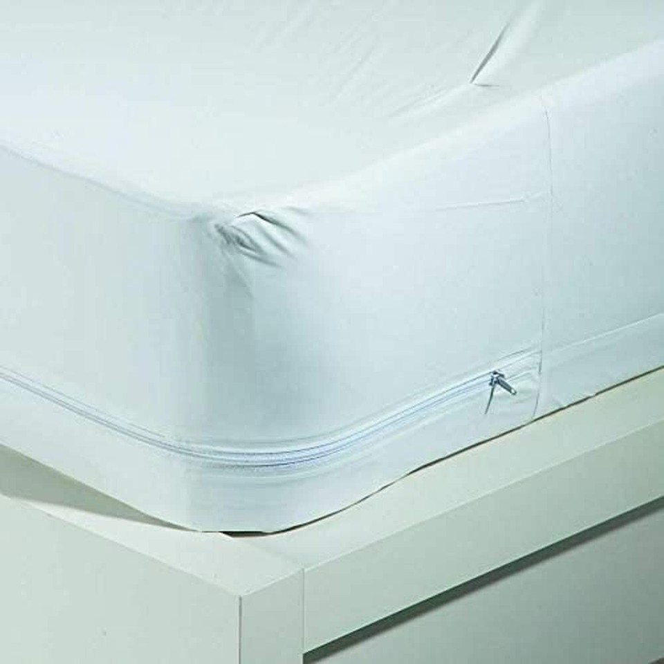 Queen Size Vinyl Mattress Protector Zippered Encasement Cover 100