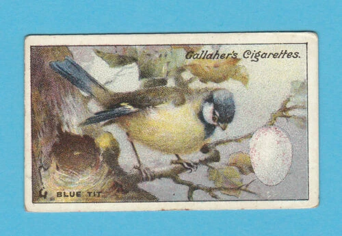 Individual/Type Cards Birds Collectable Gallaher Cigarette Cards