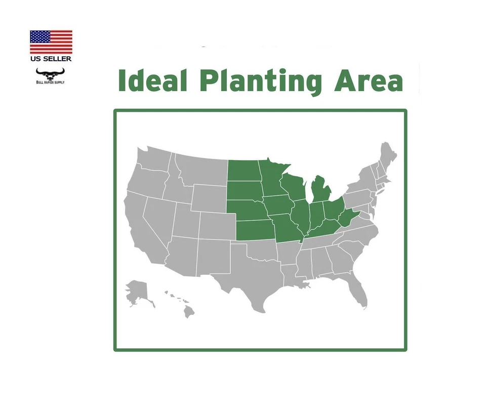 Semilla de hierba Nature's Finest Easy Green Mix - 5 lb. Fundas para bolsas de hasta 1.000 m² ft. Foto 3 de 4