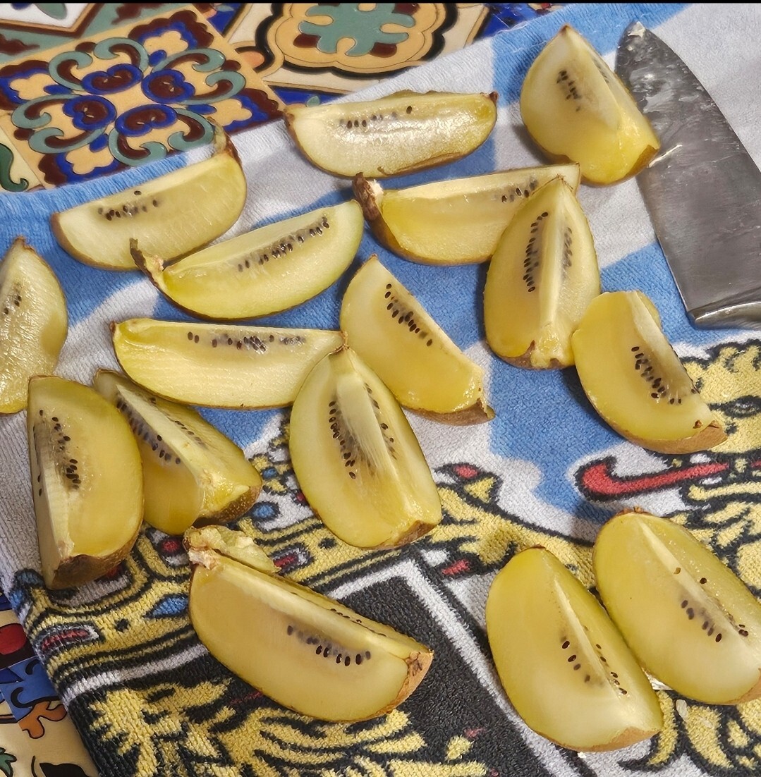 Sungold Golden Kiwi (50 seeds) / RARE / EXOTIC / DELICIOUS