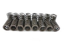 Valve Spring Set  Pioneer  S1052