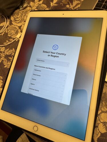 Apple iPad Pro 12.9 1st Gen Model A1584 (32 GB)