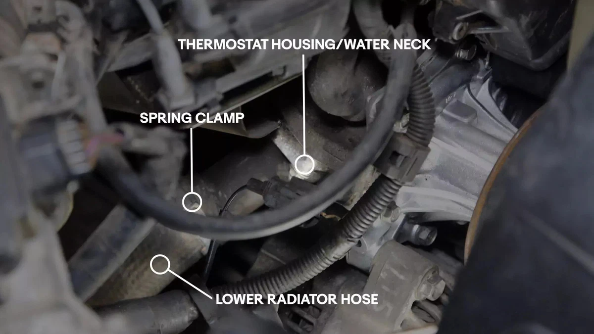 Arrows pointing to a lower radiator hose, spring clamp, and thermostat housing/water neck.
