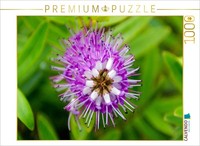 "Calvendo Puzzle An Image From The \"BlüTenkosmos\" Calendar | 1000 Pieces, Finishe"