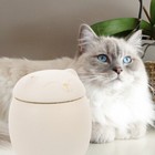 Foto 10 di 12