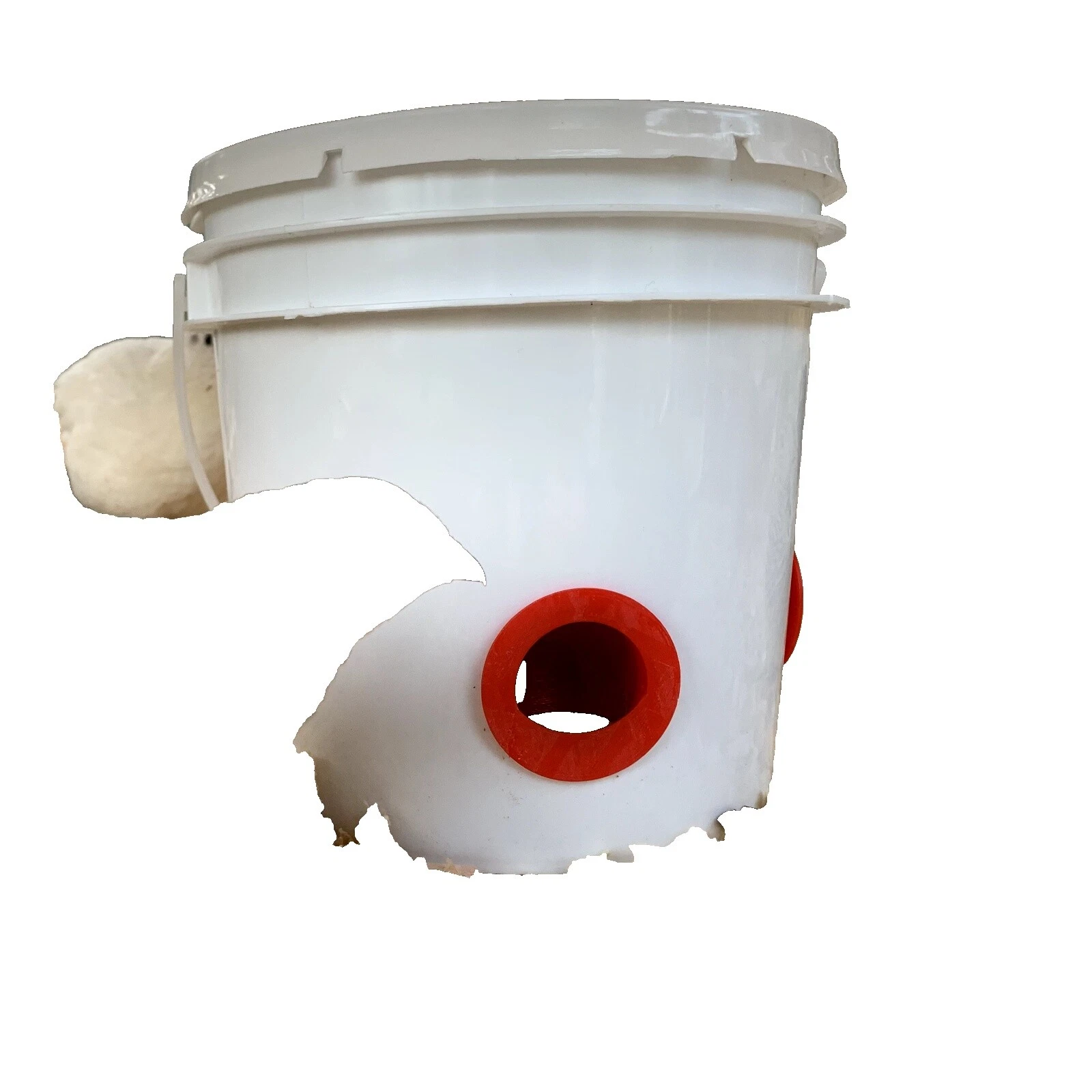 Feeder Quail Backyard Poultry Supplies