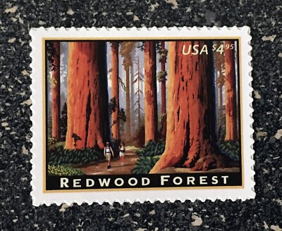 2009USA #4378 $4.95 Redwood Forest - Priority Mail - Single Mint Stamp