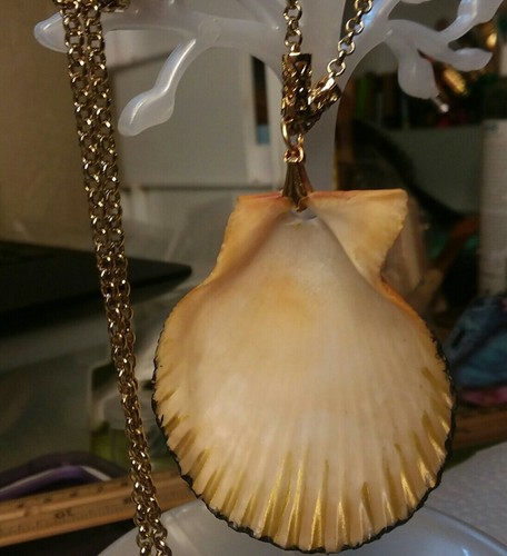 MaryBee Jewelry: 2" Shell Pendant On A 32" Brass Tone Chain 12-01-2020 - Picture 6 of 11