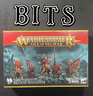 Age Of Sigmar Soulblight Gravelords Blood Knights Bits Vampire Warhammer  AoS