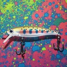 Dynamic Lures HD TROUT (RBV2) Fishing lure