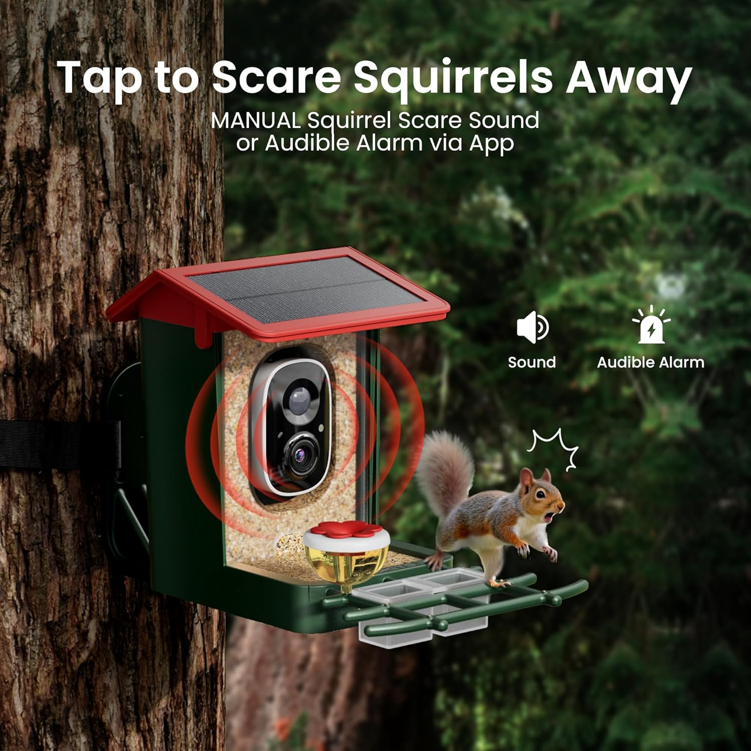 Smart Bird Feeder with Camera Solar Powered, 2K HD Video, AI Bird Species Identi
