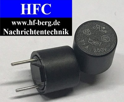 2 Stück T1A 250V träge Sicherungen, Fuse  (M1559)