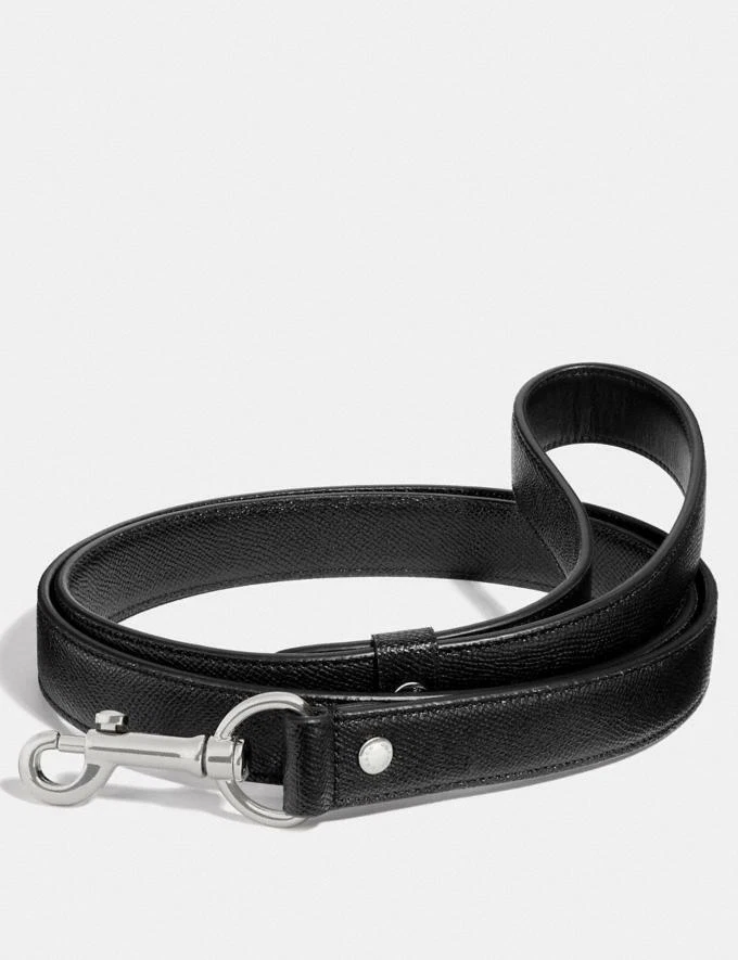 リード COACH FS4005 MINI SIG DOG LEASH 犬用引き紐 フラッシュリード