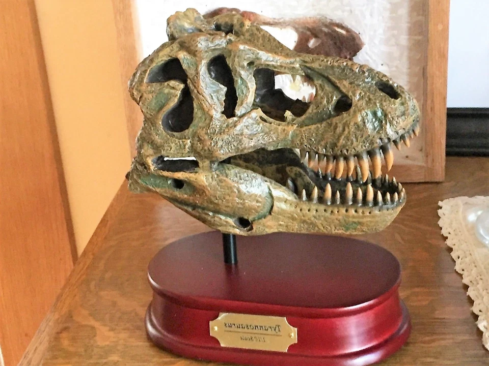TYRANNOSAURUS T-REX SKULL HUGE LARGE MODEL TOOTH DINOSAUR REPLICA BONE BIG 1/10 - Image 2 of 4