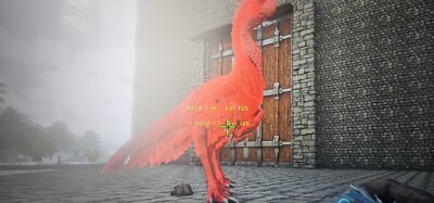 ark survival ascended pve Gigantoraptor Solid Red Breeding Pair
