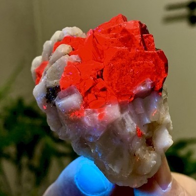92G Natural black rose fluorescent cube fluorite specimen glow under UV light