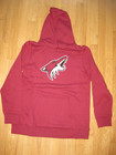 Arizona Coyotes Hooded Sweatshirt, Youth Size Large — photo 1