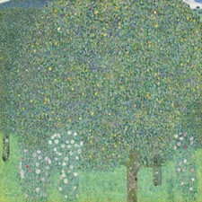 Gustav Klimt - Rosebushes under the Trees Giclee Fine Art Print on Canvas 48"