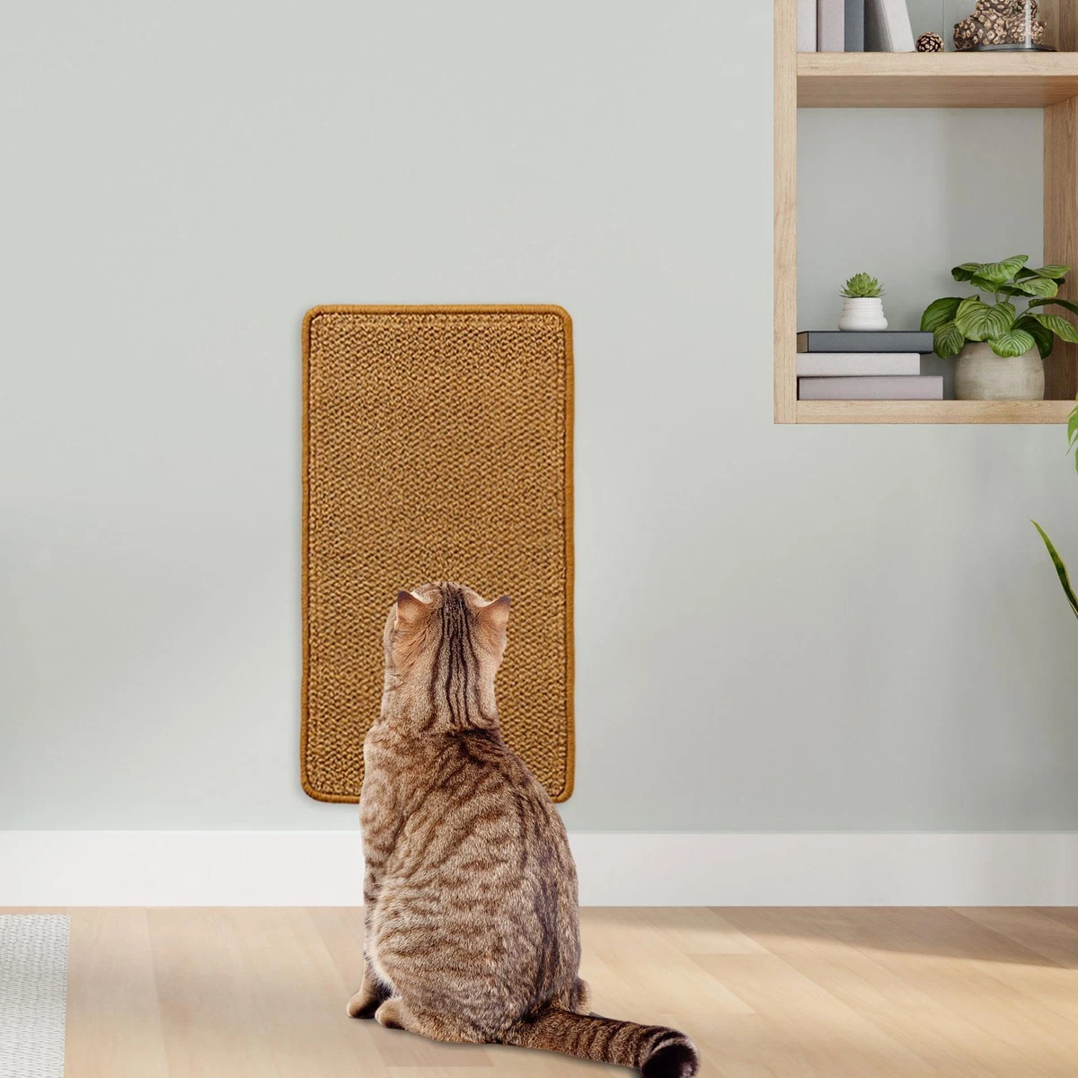 Sticky mats top for cats