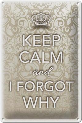 Blechschild Spruch 20x30 cm Keep Calm and i forgot why Deko Schild tin sign