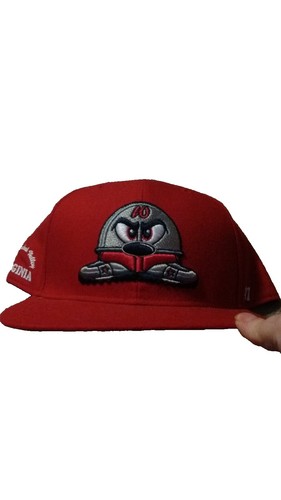 MSR HAT CAP MOUNTAIN SAFETY RESEARCH FITTED SIZE 7 1/4 - 7 5/8 RED
