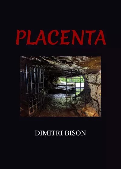 Placenta di Dimitri Bison, 2022, Youcanprint