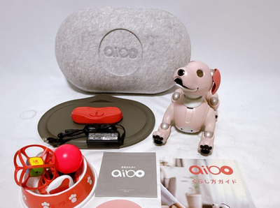 Sony Aibo ERS-1000 Strawberry Milk Edition Tested Robot Dog with
