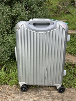 1965年製silver toneシルバートーン1448Amp in Case Caserini 22