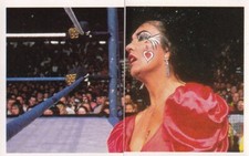 Sherri Martel WWF Pro Wrestling Sticker Merlin 1992 2 Card Set #254 #254