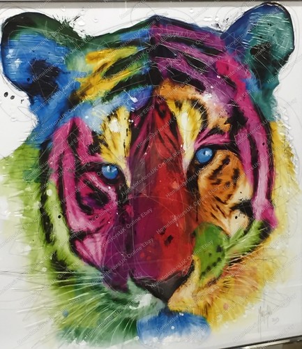 Tiger's face multi-coloured with liquid art & 2 tone or mirror frame pictures - Picture 16 of 21
