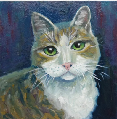 Cat oil painting original. Painting animal by photo for cat lovers. 25x25 cm