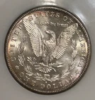 1881-S Morgan Silver Dollar NGC MS 64 :  Rev & Obv Purple, Mauve Rim Toning