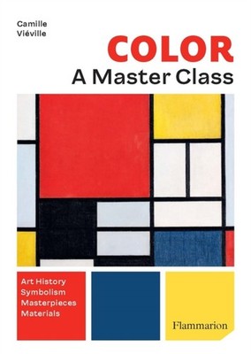 COLOR A MASTER CLASS by Camille Vieville Paperback Self Help Business