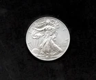 2013 American Silver Eagle Uncirculated .999 Fine Silver - GREAT INVESTMENT!