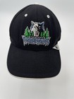 Minnesota Timberwolves Hat Cap Strapback Vintage Twins Enterprise Inc NWOT Blue