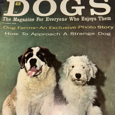 Dogs Monthly Magazine Vintage Issue November 1970  - 9C