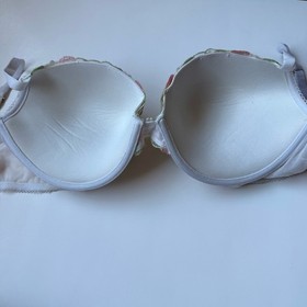 Victoria's Secret Dream Angels Push-Up Bra 36DDD Strawberry Cherry Embroidered