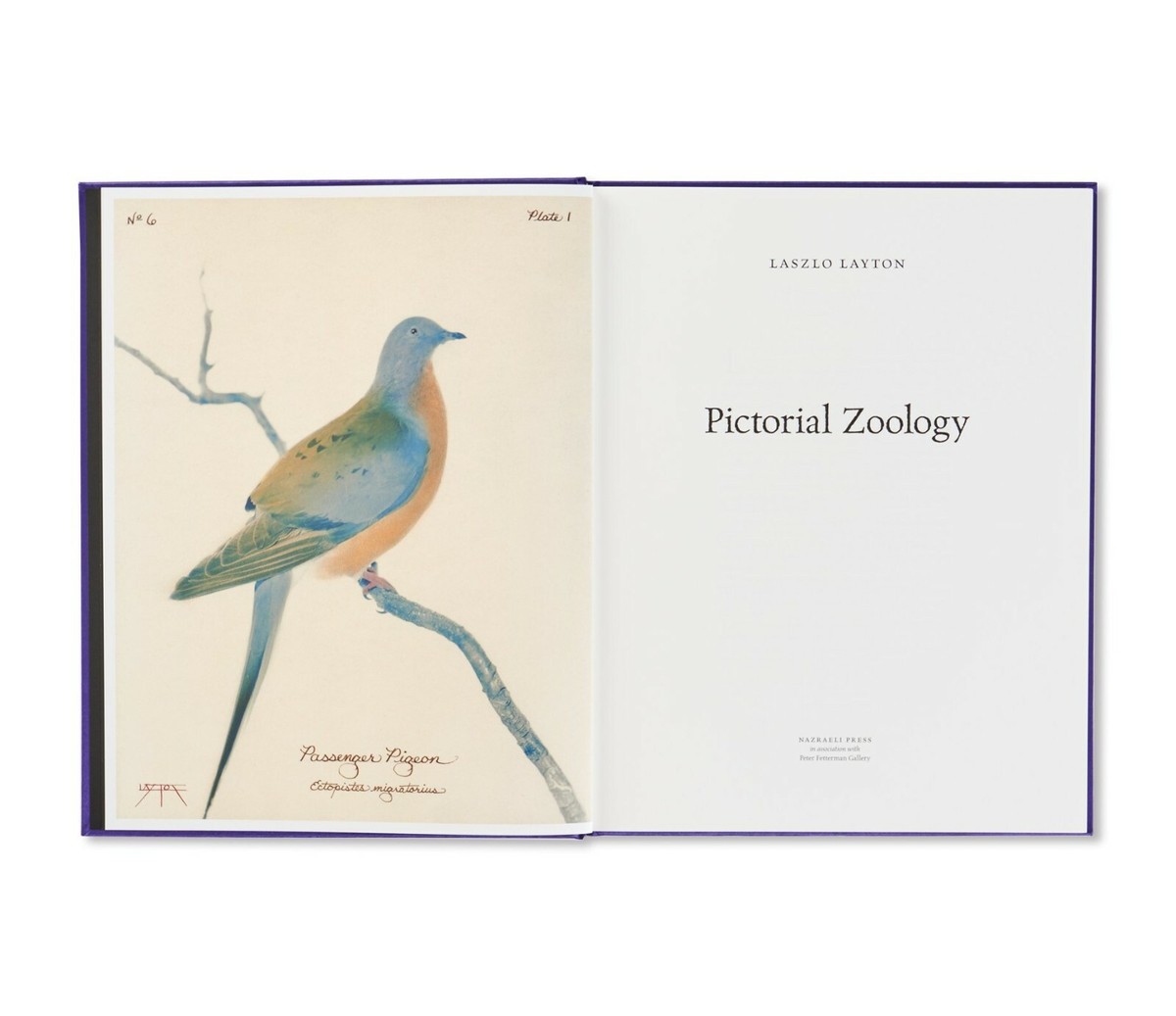 Pictorial Zoology　Laszlo Layton 　限定1000部 s-l1200.jpg