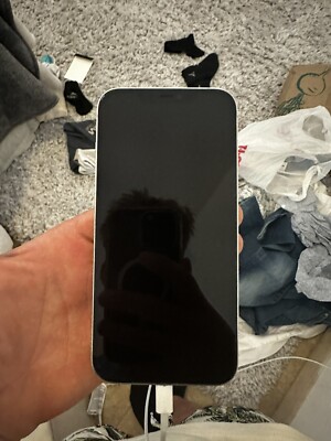 Apple iPhone 12 Pro Max - 256GB - Silver (AT&T )