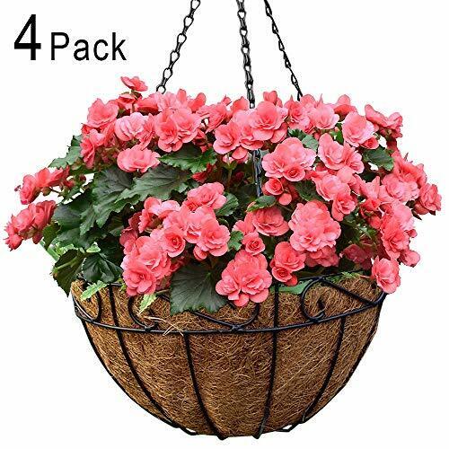 Metal Hanging Online limited product Store Planter Basket w Coco Wire - Round Liner Coir 14
