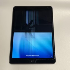 Apple iPad 9th Gen 64GB - Wifi+Cell - Space Gray -Cracked Screen- Pixels
