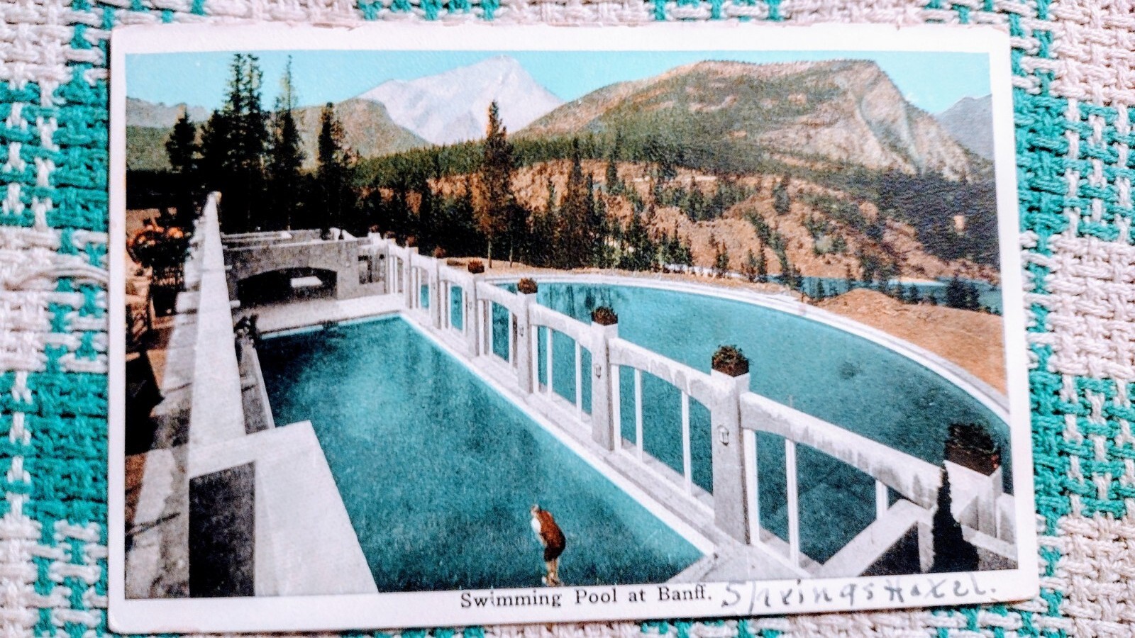 VINTAGE POST CARD SWIMMING POOL @ BANFF /SPRINGS HOTEL CANADA | eBay