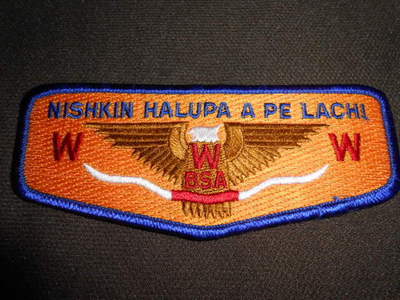Nishikin Halupa A Pelachi 489 s16 Flap   OAE
