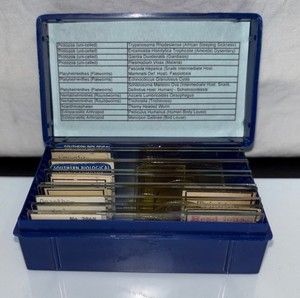 Parasite Microscope Slide Set Deadly Disease Insect Whole Mount Helminth Worm