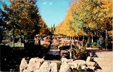 Glorieta New Mexico NM : GARDEN SCENE d/24 AV1982