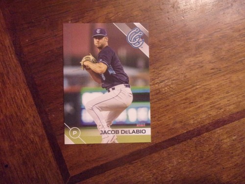 Tarjetas individuales de ligas menores de elección de Corpus Christi Hooks 2024 TÚ ELIGES OBO - Imagen 12 de 28